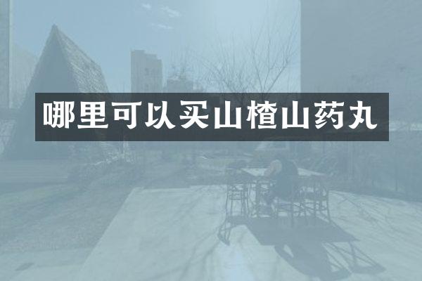 哪里可以买山楂山药丸