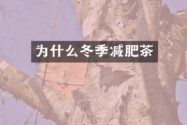 为什么冬季减肥茶
