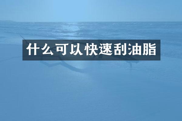 什么可以快速刮油脂