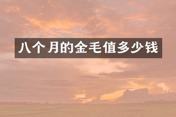 八个月的金毛值多少钱