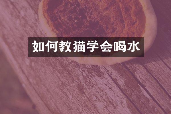 如何教猫学会喝水