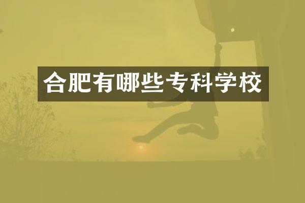 合肥有哪些专科学校