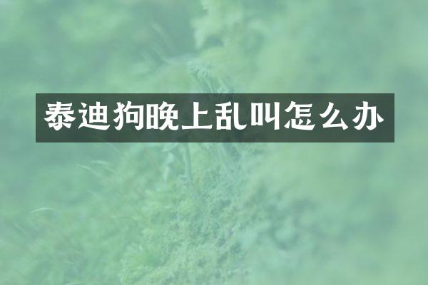 泰迪狗晚上乱叫怎么办