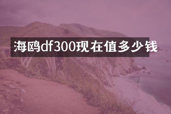 海鸥df300现在值多少钱