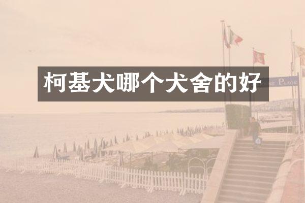 柯基犬哪个犬舍的好