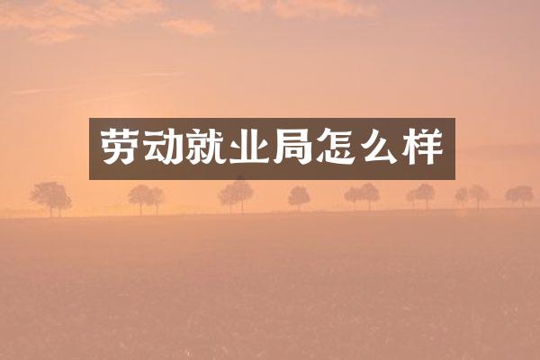 劳动就业局怎么样