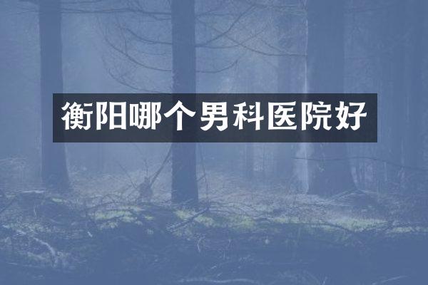 衡阳哪个男科医院好