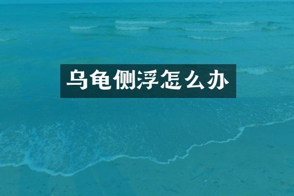 乌龟侧浮怎么办