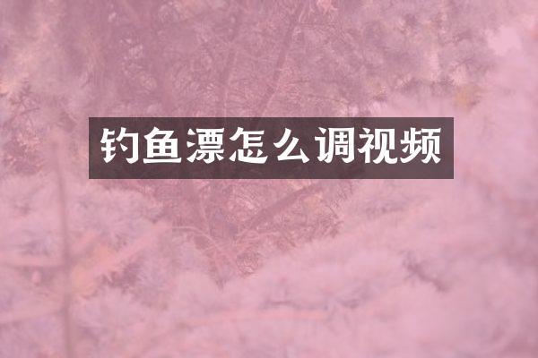 钓鱼漂怎么调视频