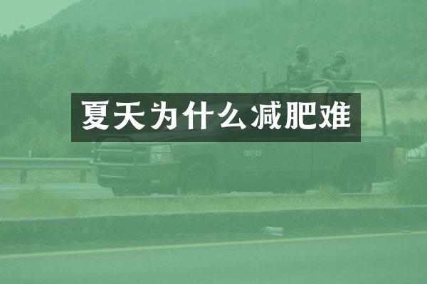 夏天为什么减肥难