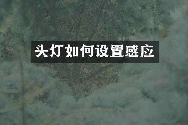 头灯如何设置感应