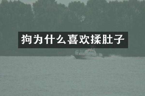 狗为什么喜欢揉肚子