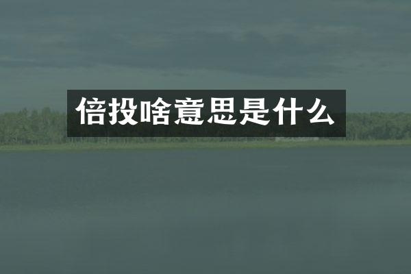 倍投啥意思是什么