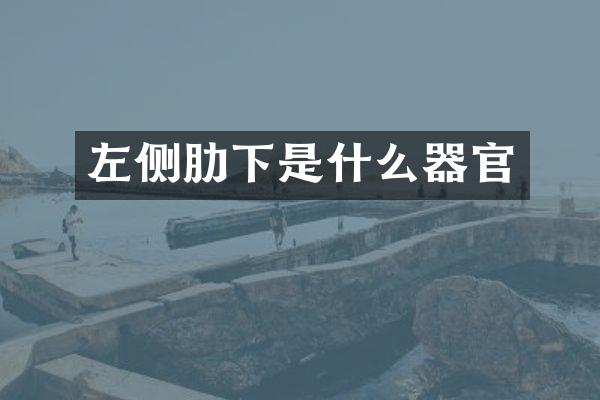 左侧肋下是什么器官