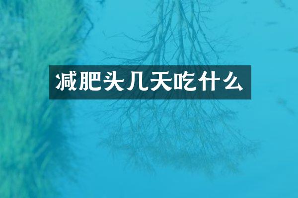 减肥头几天吃什么