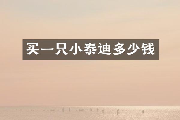 买一只小泰迪多少钱