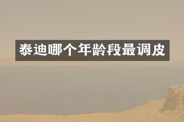 泰迪哪个年龄段最调皮