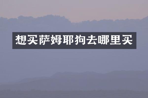想买萨姆耶狗去哪里买