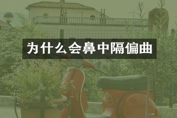 为什么会鼻中隔偏曲