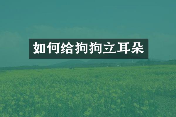 如何给狗狗立耳朵