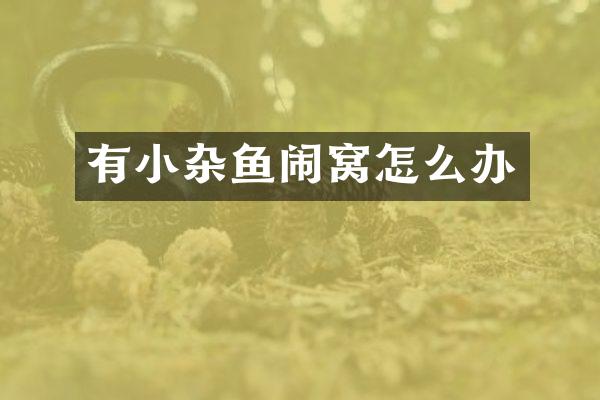 有小杂鱼闹窝怎么办