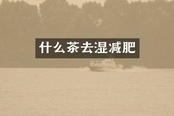 什么茶去湿减肥