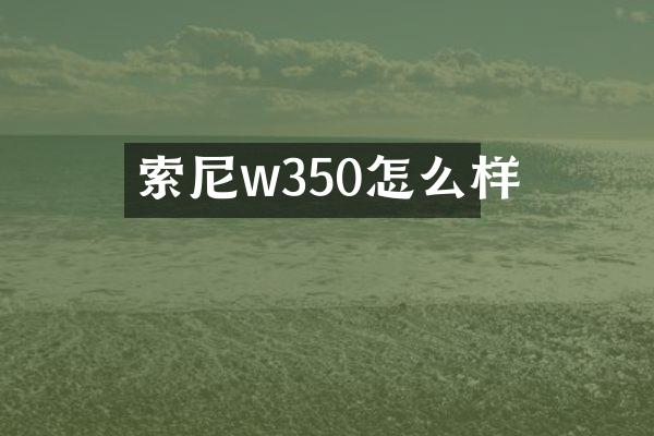 索尼w350怎么样