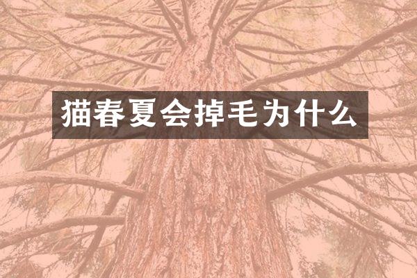 猫春夏会掉毛为什么