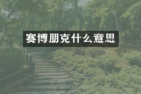 赛博朋克什么意思