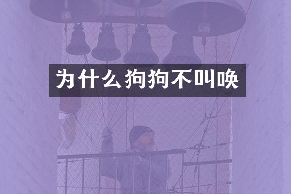 为什么狗狗不叫唤