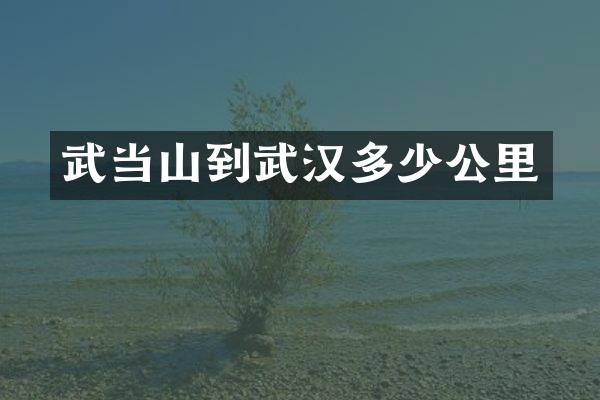 武当山到武汉多少公里