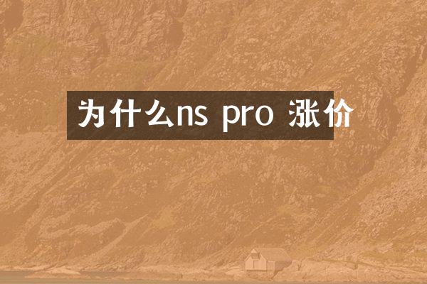 为什么ns pro 涨价
