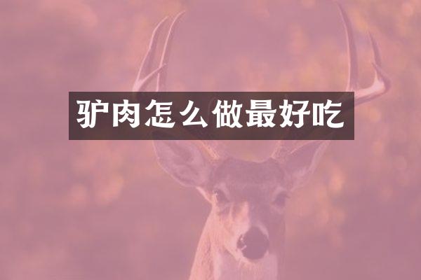 驴肉怎么做最好吃