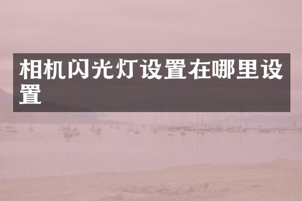 相机闪光灯设置在哪里设置