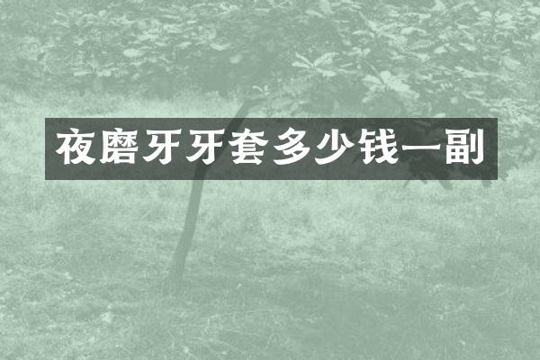 夜磨牙牙套多少钱一副