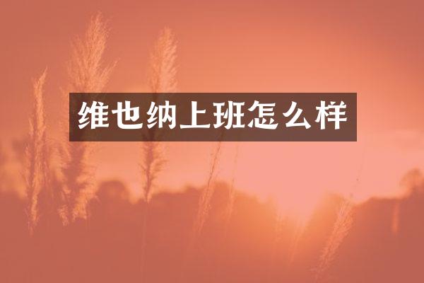 维也纳上班怎么样