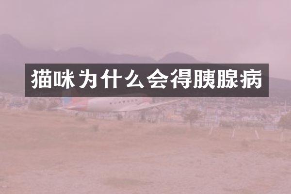 猫咪为什么会得胰腺病