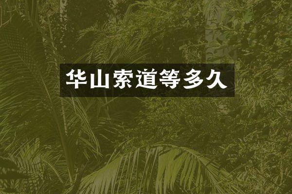 华山索道等多久