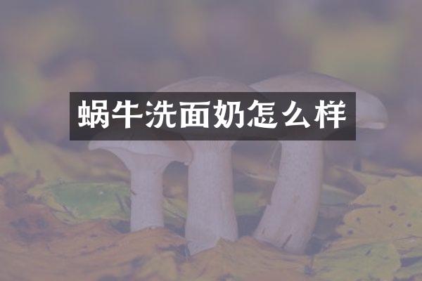 蜗牛洗面奶怎么样