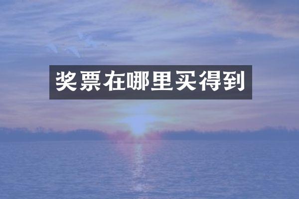 奖票在哪里买得到