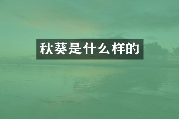 秋葵是什么样的