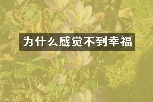 为什么感觉不到幸福