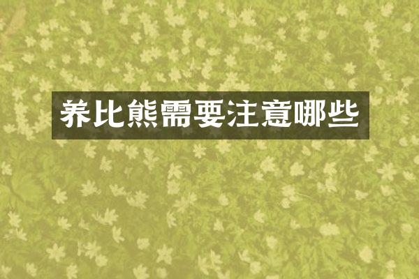 养比熊需要注意哪些