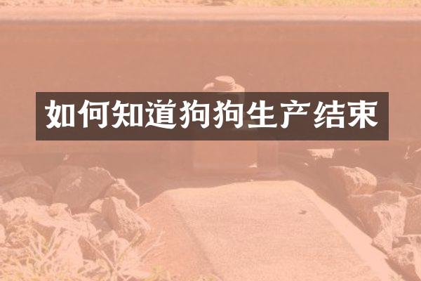 如何知道狗狗生产结束