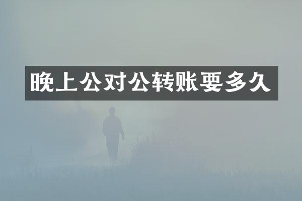 晚上公对公转账要多久