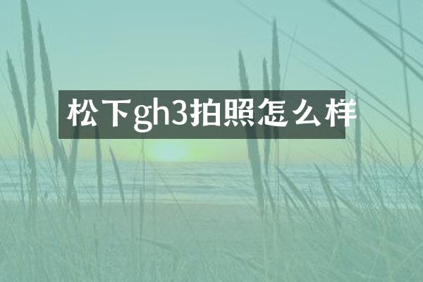 gh3拍照怎么样