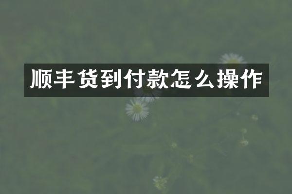 顺丰怎么操作