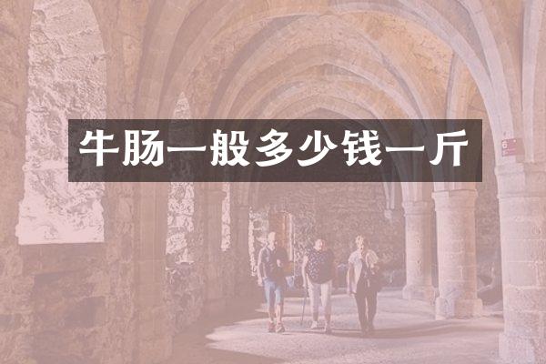 牛肠一般多少钱一斤