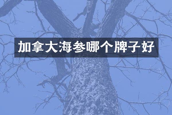 加拿大海参哪个牌子好