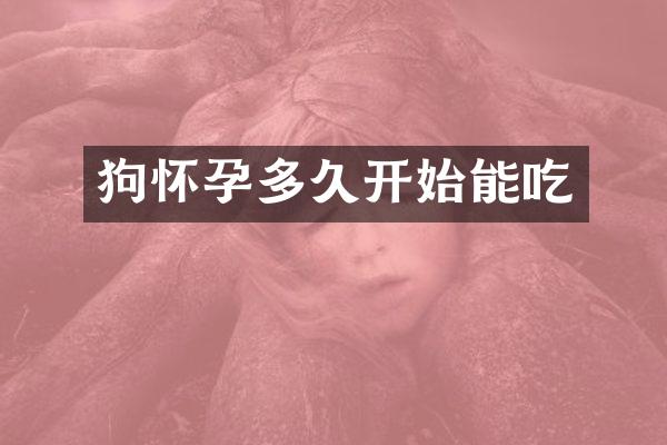 狗怀孕多久开始能吃
